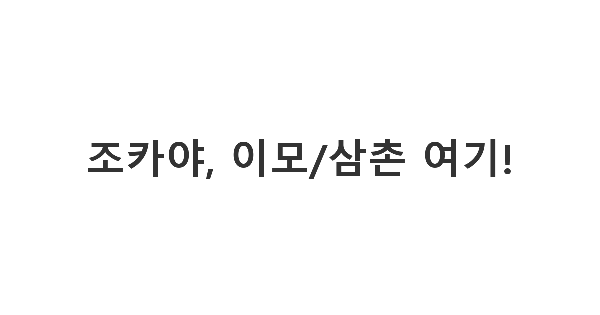 조카에게 보내는 약속 장소에 먼저 도착했다는 메시지 '조카야, 이모/삼촌 여기!'