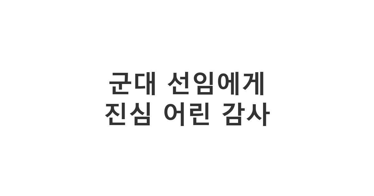 군대 선임에게 진로, 업무, 개인적 고민에 대한 진심 어린 조언을 듣고 감사하는 메시지 '군대 선임에게 진심 어린 감사'