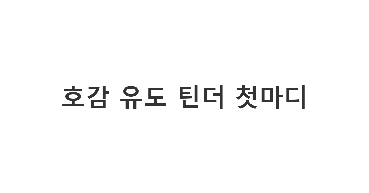 소개팅 어플에서 매칭된 상대에게 호감을 얻기 위해 보내는 첫 메시지 '호감 유도 틴더 첫마디'