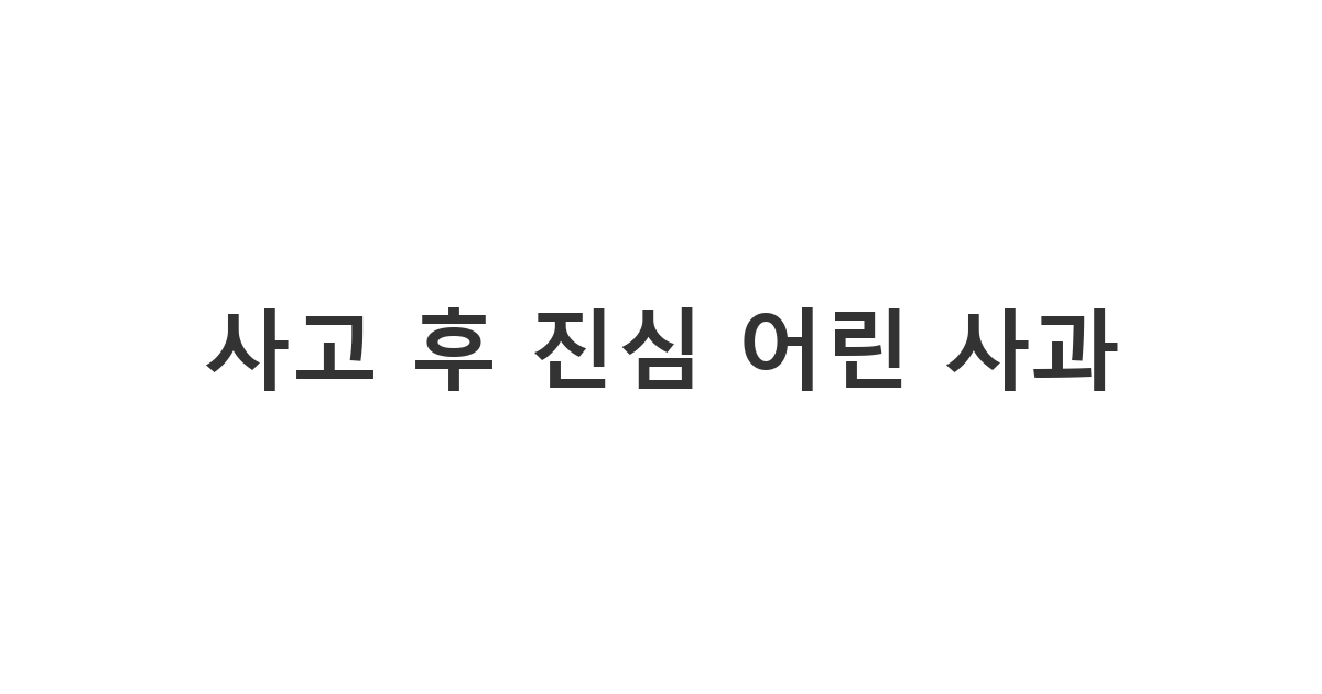 접촉 사고 발생 후 피해자에게 정중하게 안부를 묻는 교통 사고 사과 문자 '사고 후 진심 어린 사과'